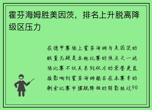 霍芬海姆胜美因茨，排名上升脱离降级区压力